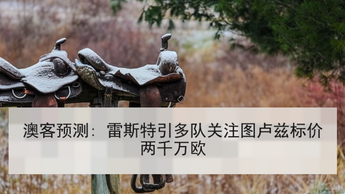 澳客预测: 雷斯特引多队关注图卢兹标价两千万欧